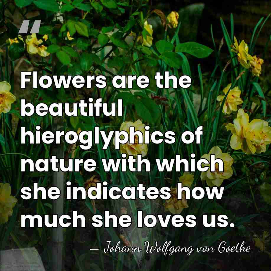Flowers are the beautiful hieroglyphics of nature with which she indicates how&hellip; - Johann Wolfgang von Goethe