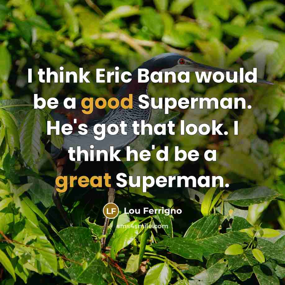 “I think Eric Bana would be a good Superman. He's got that look. I think he'd be a great Superman.” quote by Lou Ferrigno