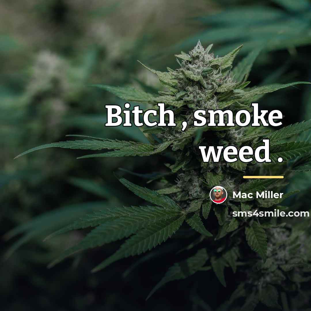 “Bitch , smoke weed .…” quote by Mac Miller