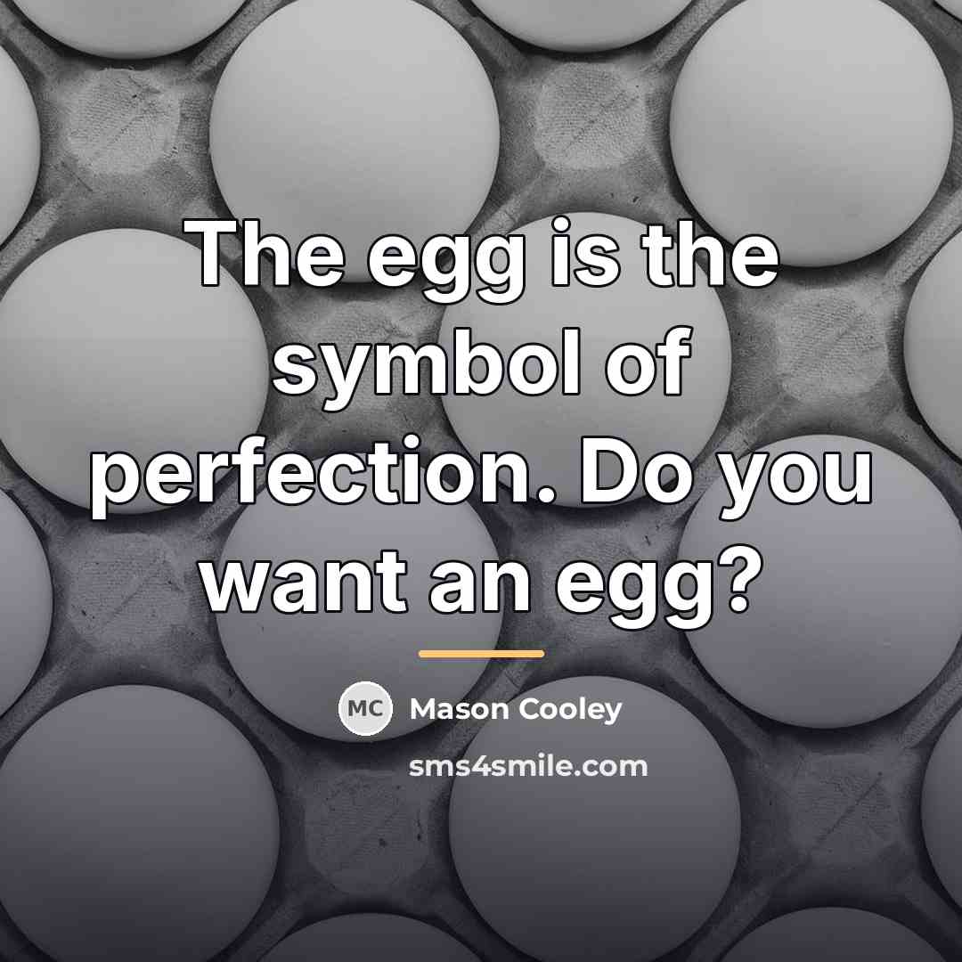 “The egg is the symbol of perfection. Do you want…” quote by Mason Cooley