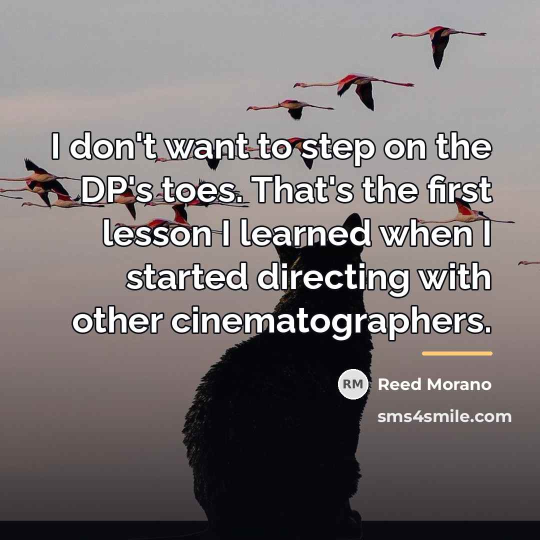 “I don't want to step on the DP's toes. That's…” quote by Reed Morano