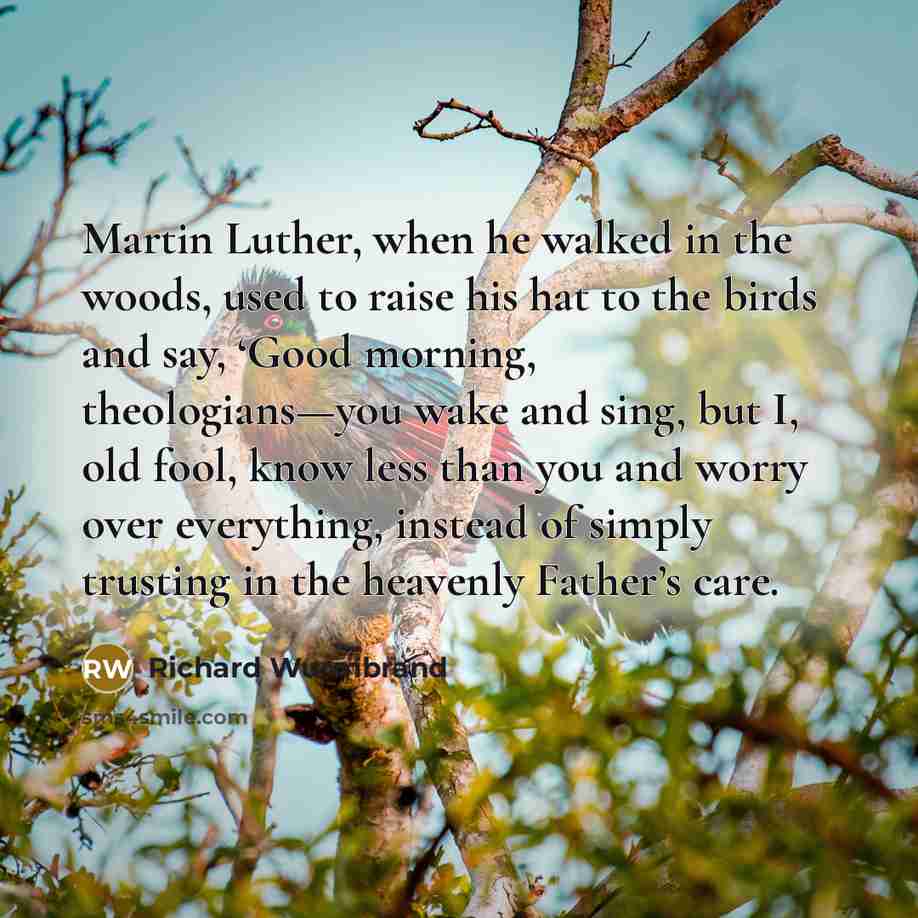 “Martin Luther, when he walked in the woods, used to…” quote by Richard Wurmbrand