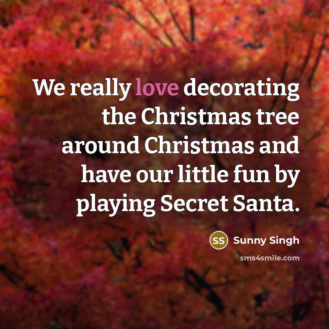 “We really love decorating the Christmas tree around Christmas and…” quote by Sunny Singh