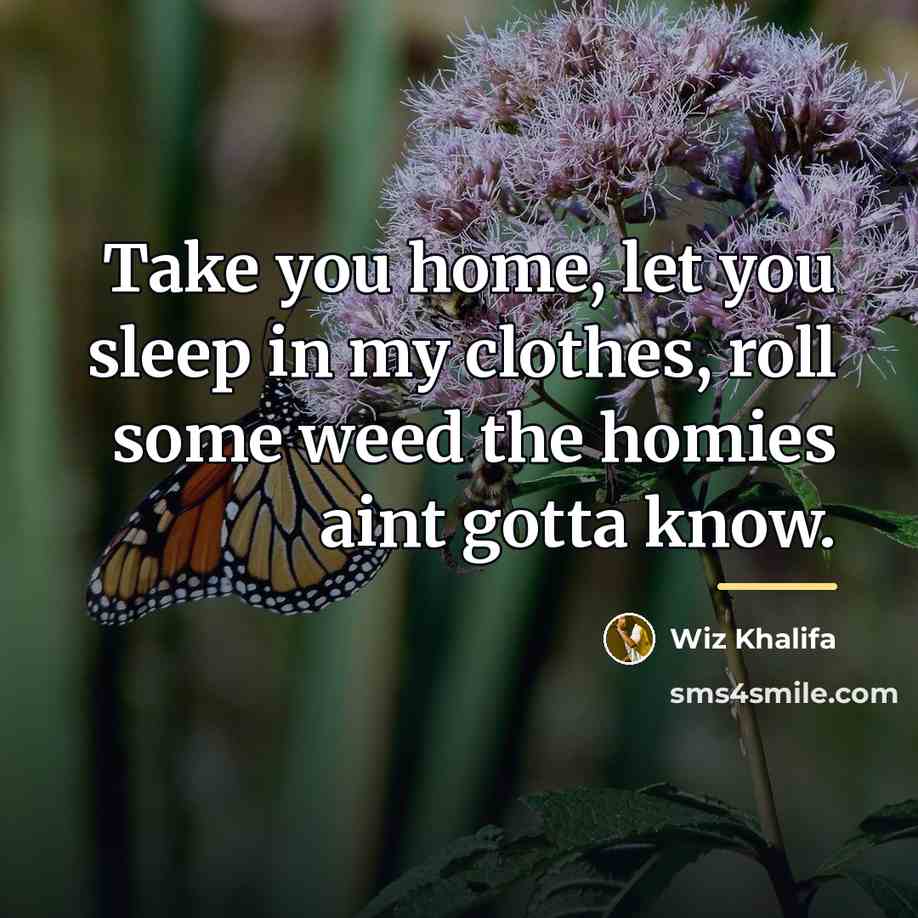 “Take you home, let you sleep in my clothes, roll…” quote by Wiz Khalifa