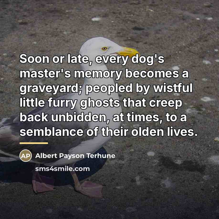 “Soon or late, every dog's master's memory becomes a graveyard;…” quote by Albert Payson Terhune