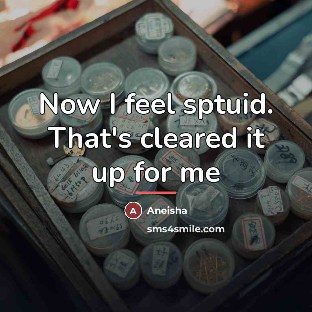 “Now I feel sptuid. That's cleared it up for me…” quote by Aneisha