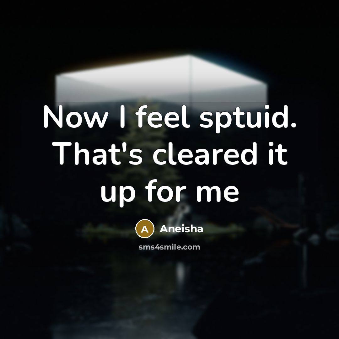 “Now I feel sptuid. That's cleared it up for me” quote by Aneisha