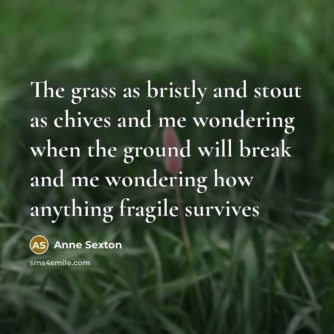 “The grass as bristly and stout as chives and me…” quote by Anne Sexton