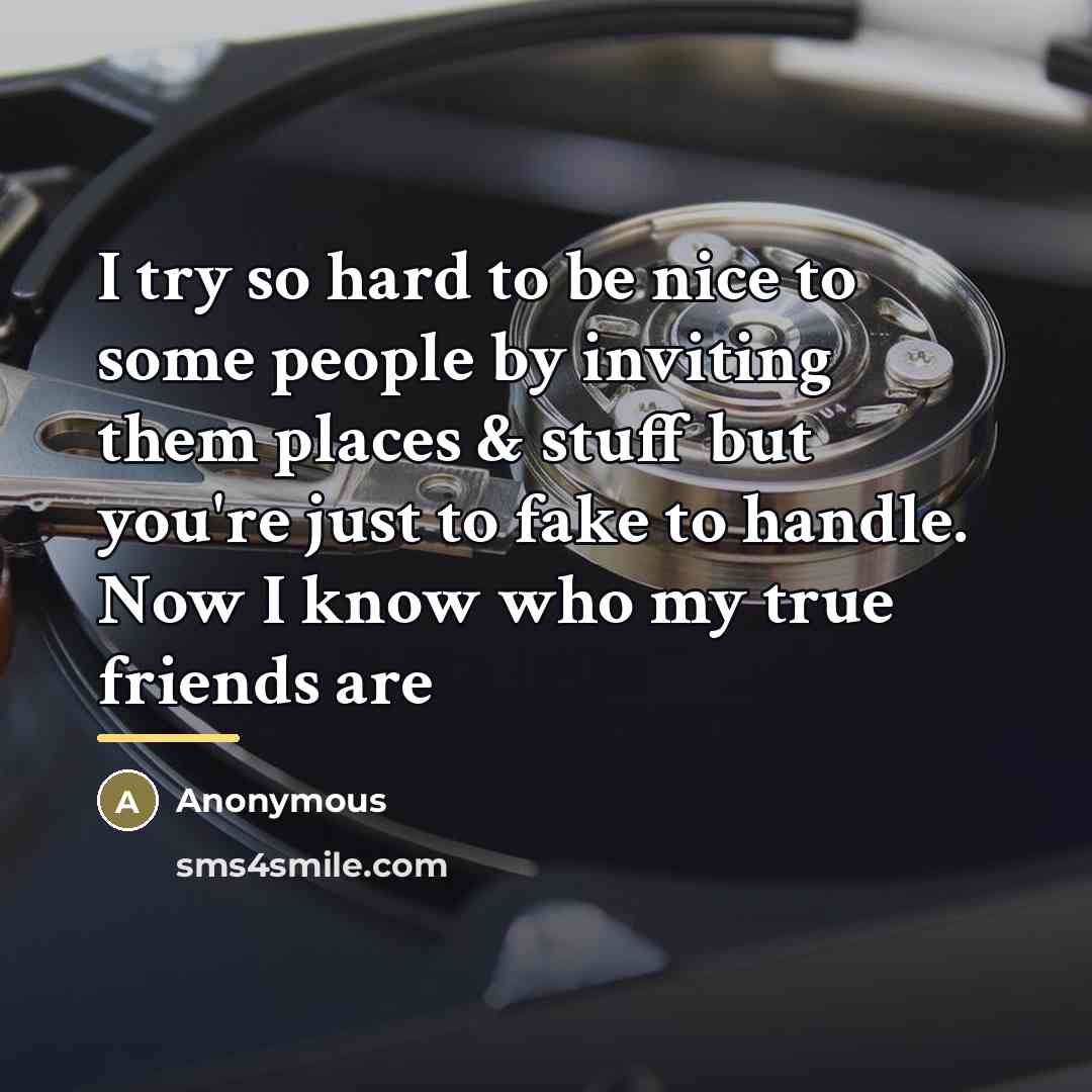 “I try so hard to be nice to some people…” quote by Anonymous