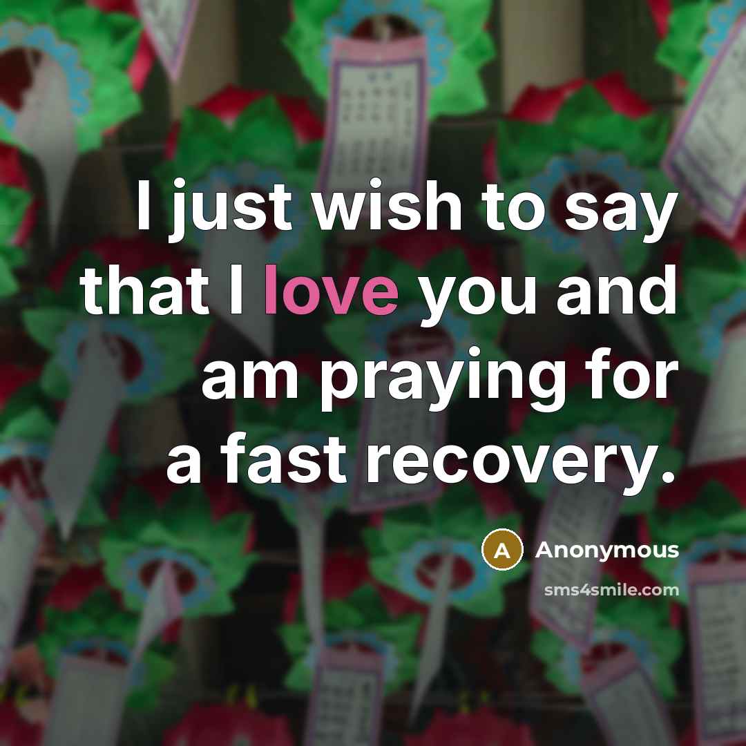 “I just wish to say that I love you and…” quote by Anonymous