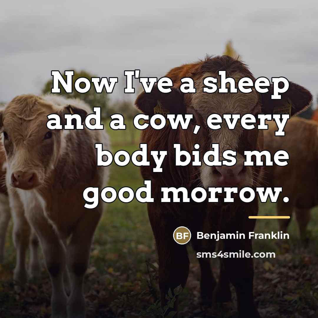 “Now I've a sheep and a cow, every body bids…” quote by Benjamin Franklin