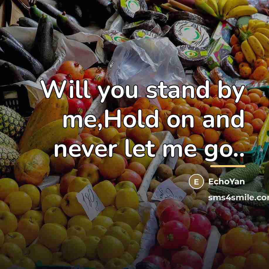 “Will you stand by me,Hold on and never let me…” quote by EchoYan