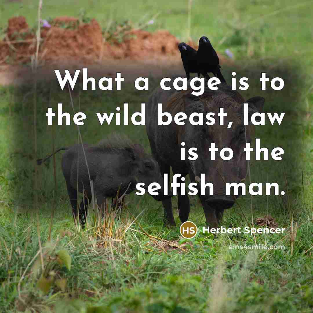 “What a cage is to the wild beast, law is…” quote by Herbert Spencer