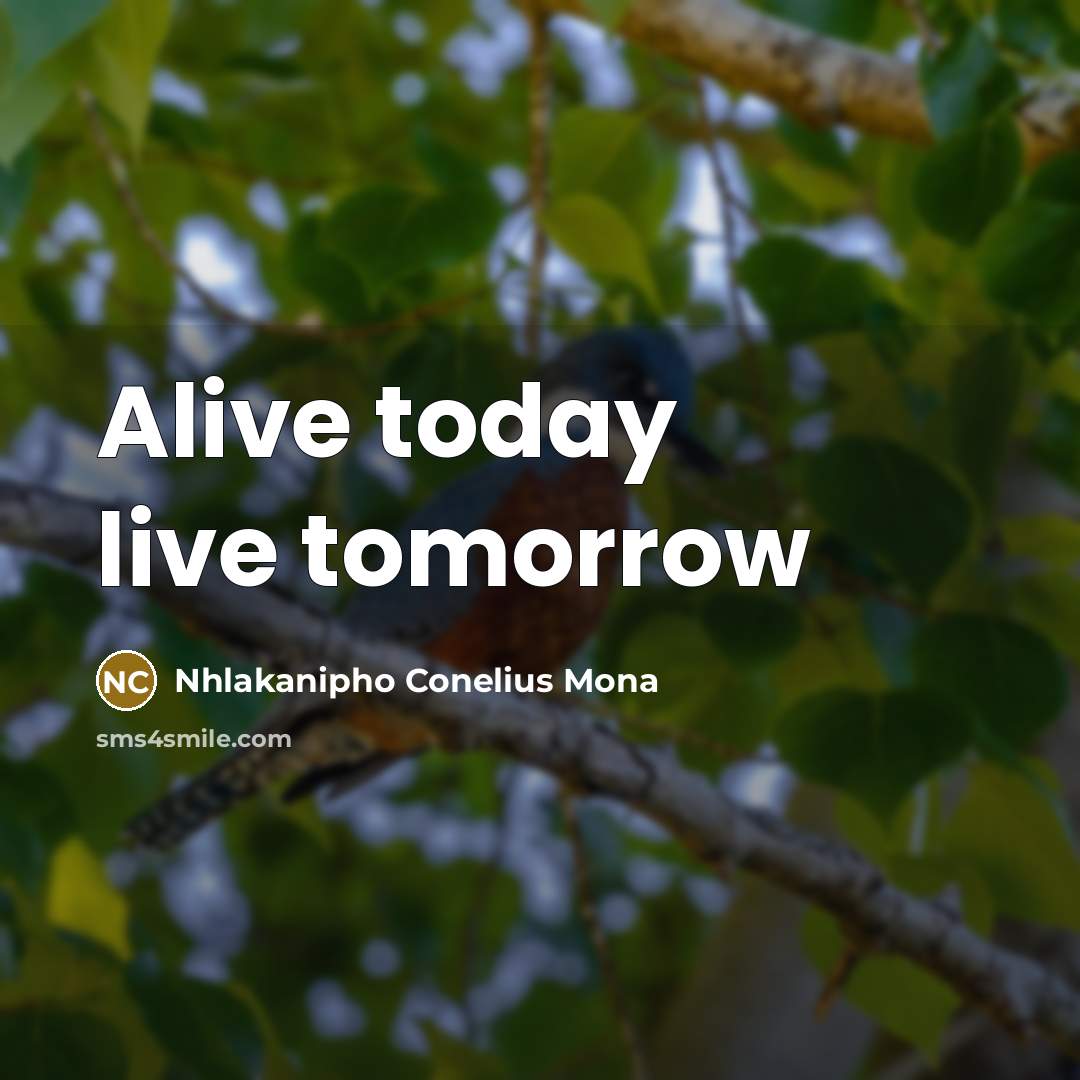 “Alive today live tomorrow” quote by Nhlakanipho Conelius Mona