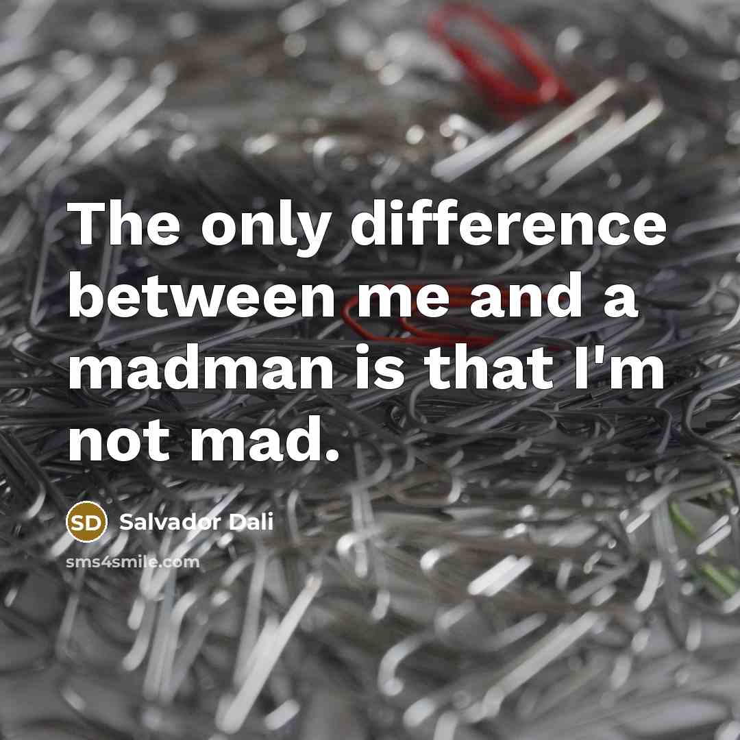 “The only difference between me and a madman is that I'm not mad.” quote by Salvador Dali