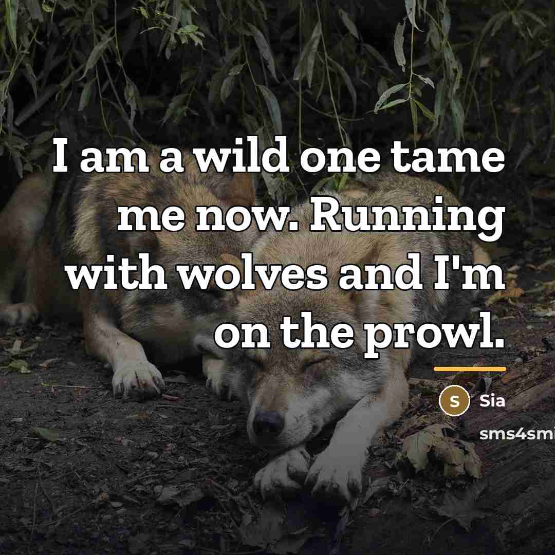 “I am a wild one tame me now. Running with…” quote by Sia