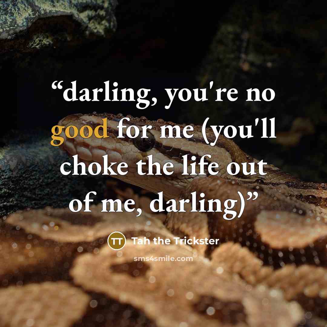 “darling, you're no good for me (you'll choke the life out of me, darling)” quote by Tah the Trickster