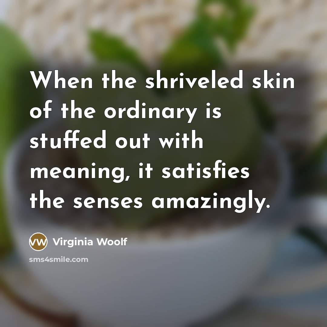 “When the shriveled skin of the ordinary is stuffed out…” quote by Virginia Woolf