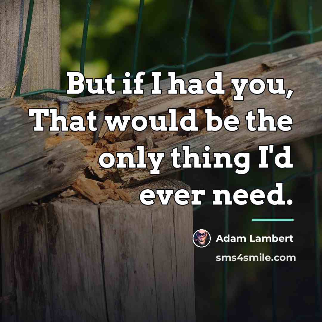 “But if I had you, That would be the only…” quote by Adam Lambert