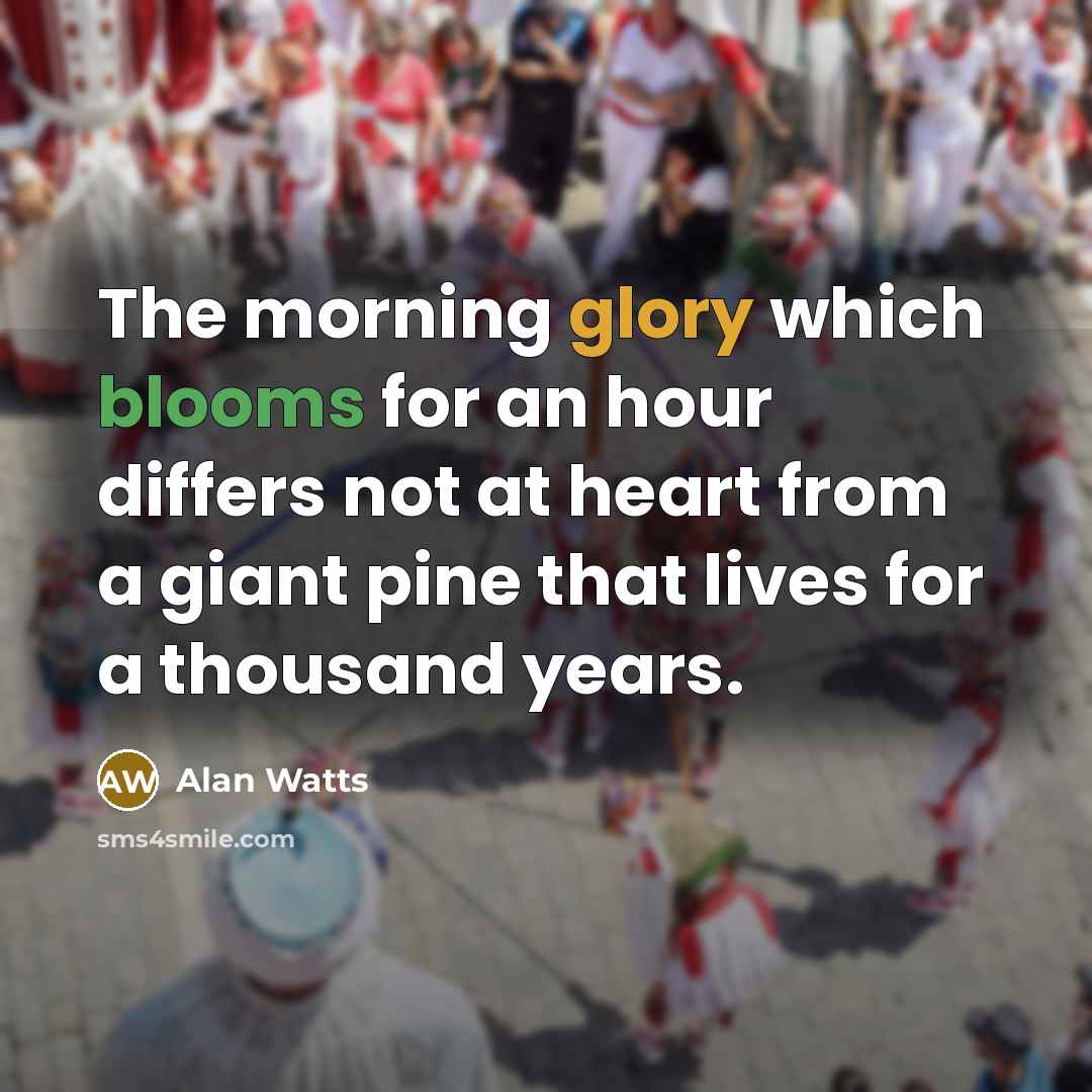 “The morning glory which blooms for an hour differs not at heart from a giant pine that lives for a thousand years.” quote by Alan Watts