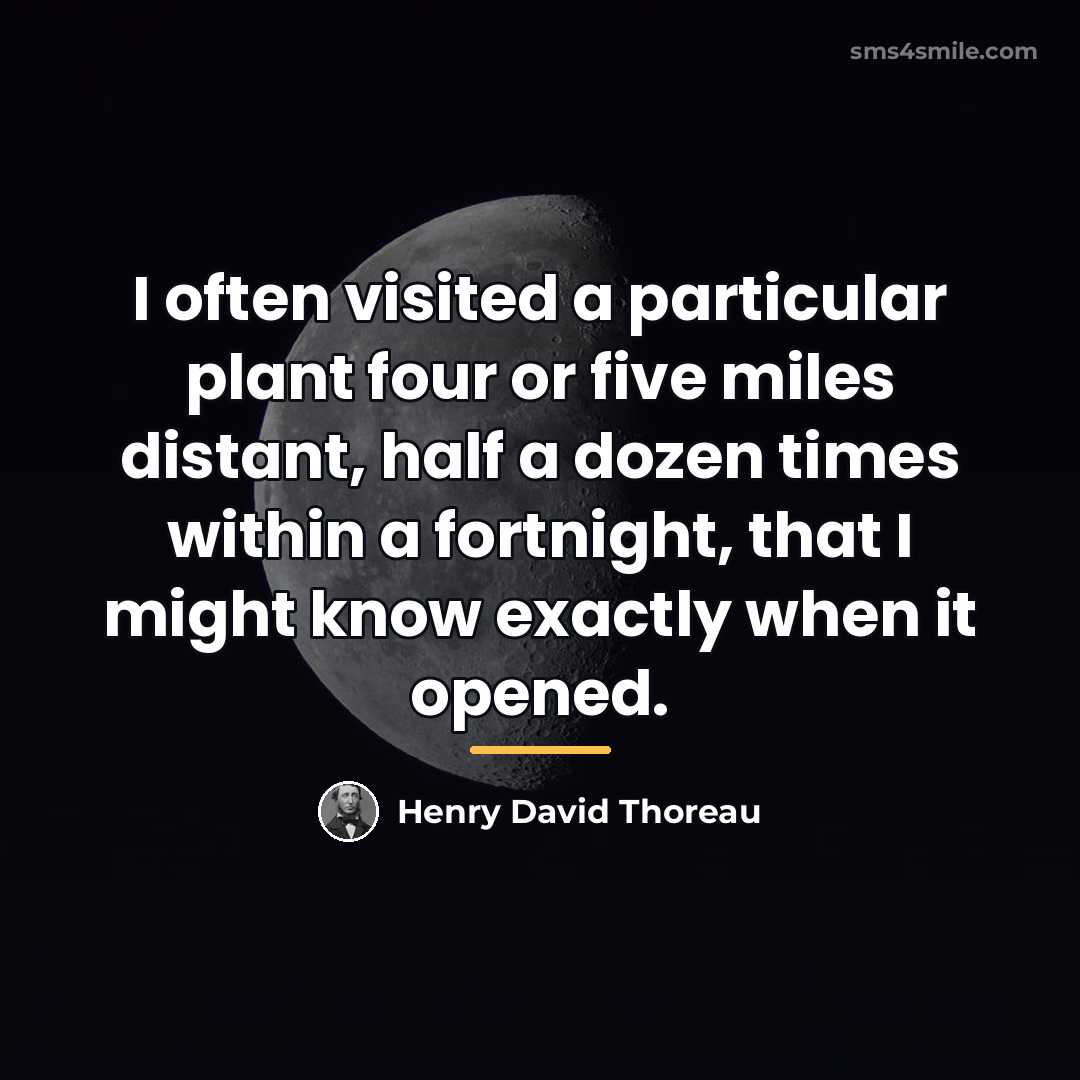 “I often visited a particular plant four or five miles…” quote by Henry David Thoreau
