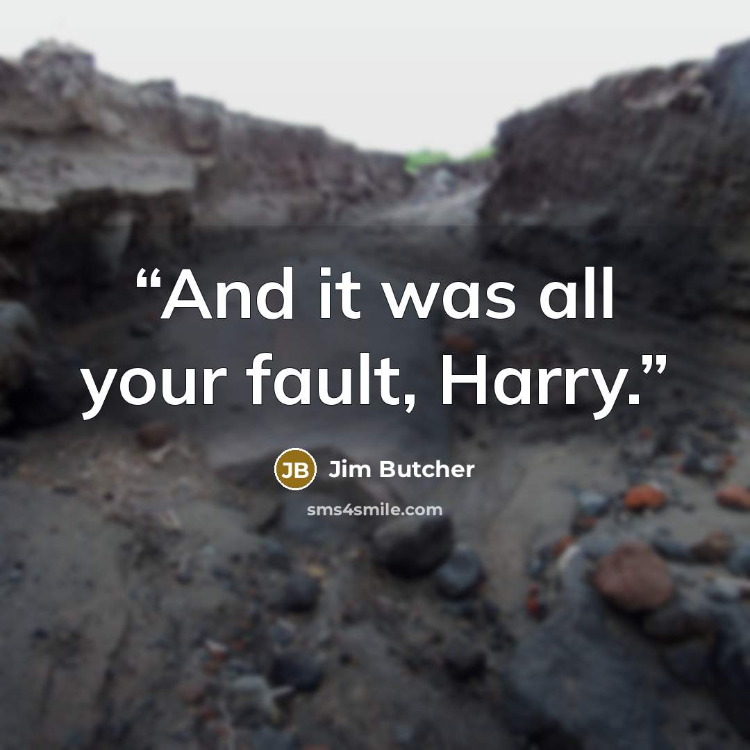 “And it was all your fault, Harry.” quote by Jim Butcher