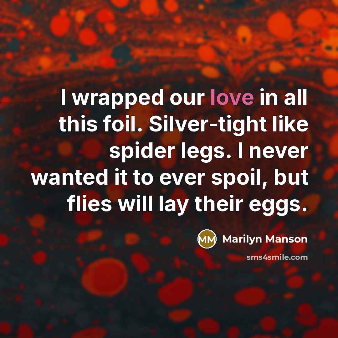 “I wrapped our love in all this foil. Silver-tight like spider legs. I never wanted it to ever spoil, but flies will lay their eggs.” quote by Marilyn Manson