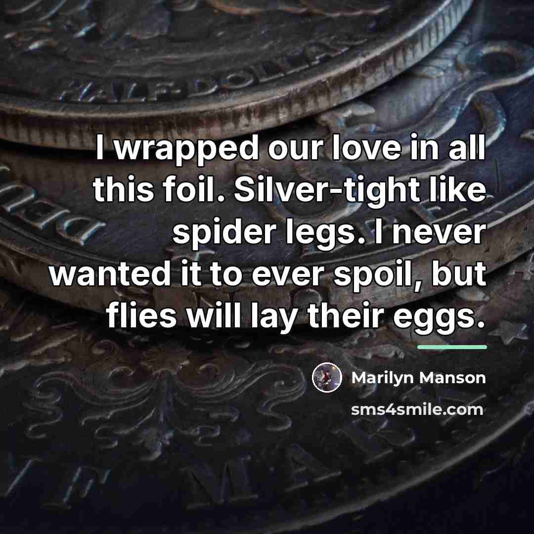 “I wrapped our love in all this foil. Silver-tight like…” quote by Marilyn Manson