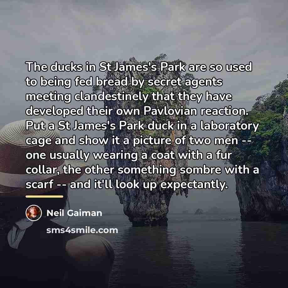 “The ducks in St James's Park are so used to…” quote by Neil Gaiman