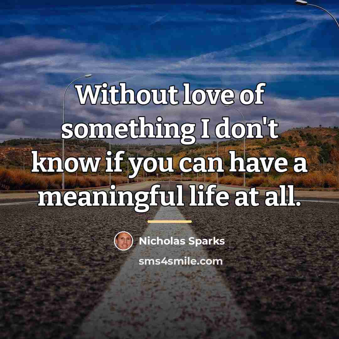 “Without love of something I don't know if you can…” quote by Nicholas Sparks
