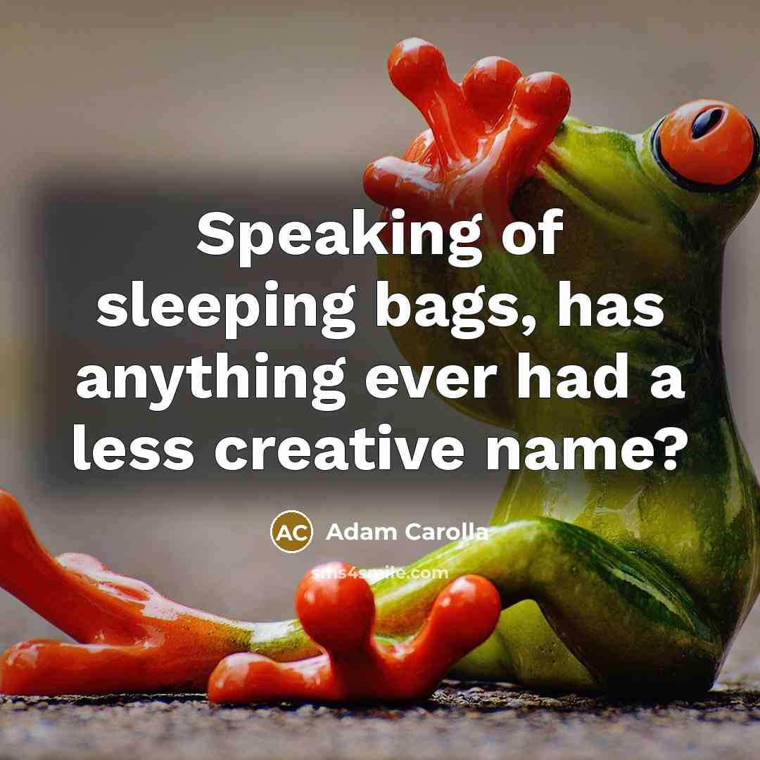 “Speaking of sleeping bags, has anything ever had a less…” quote by Adam Carolla