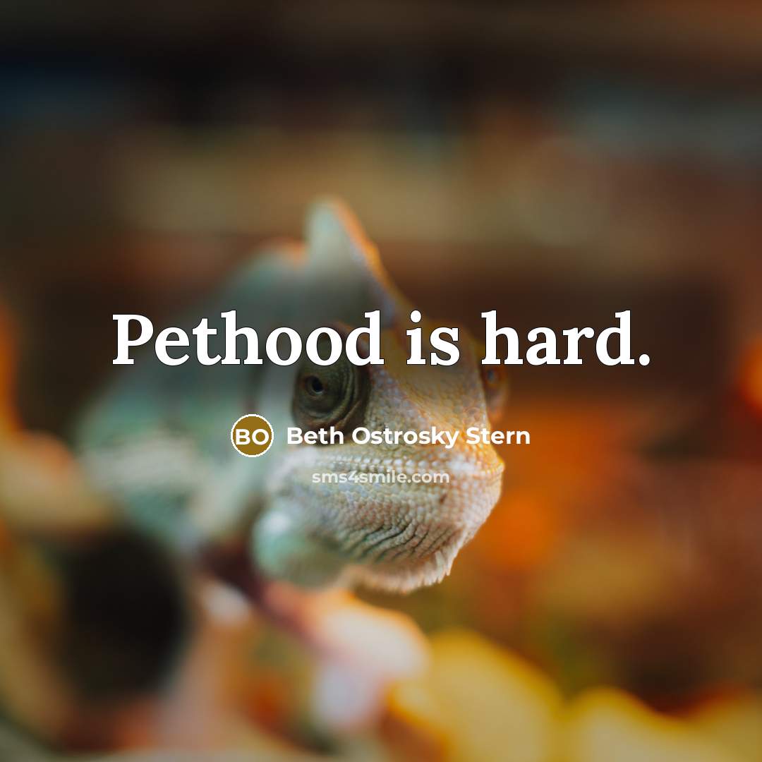 “Pethood is hard.” quote by Beth Ostrosky Stern