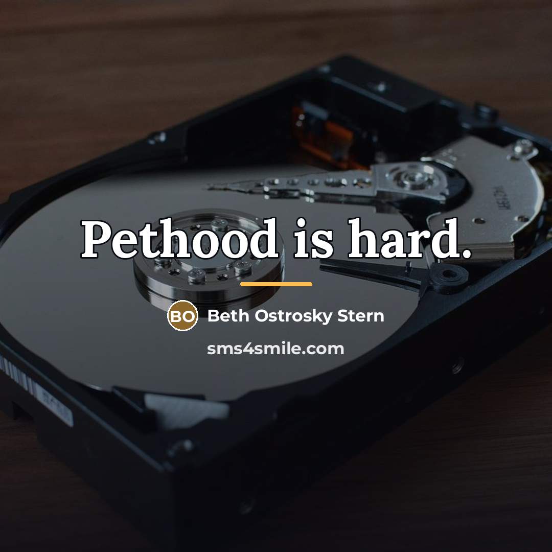 “Pethood is hard.…” quote by Beth Ostrosky Stern