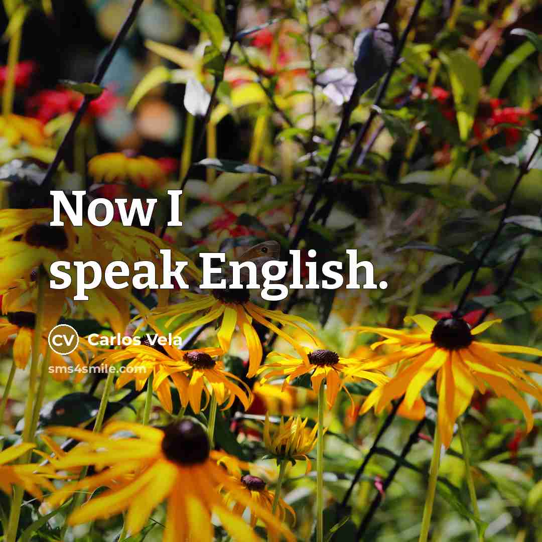 “Now I speak English.…” quote by Carlos Vela