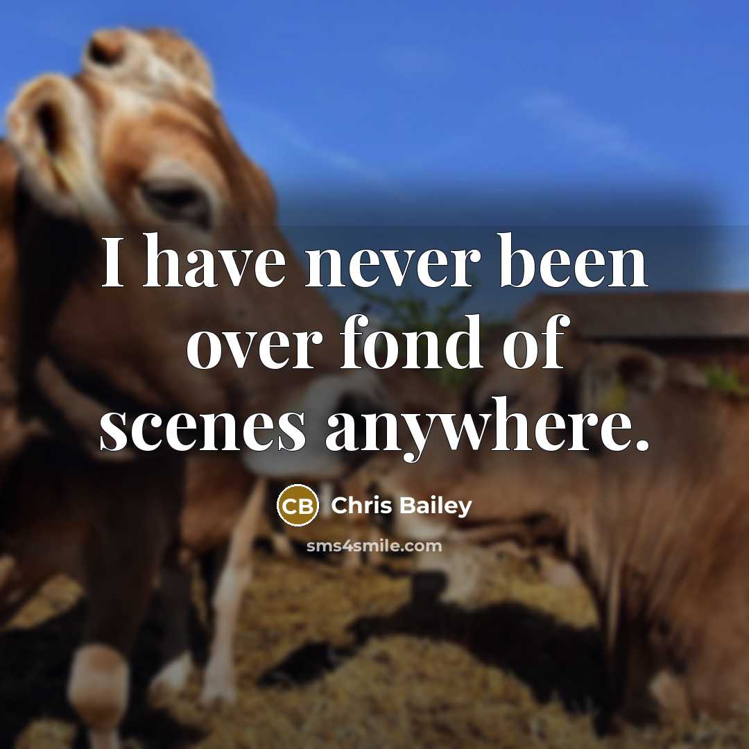 “I have never been over fond of scenes anywhere.…” quote by Chris Bailey