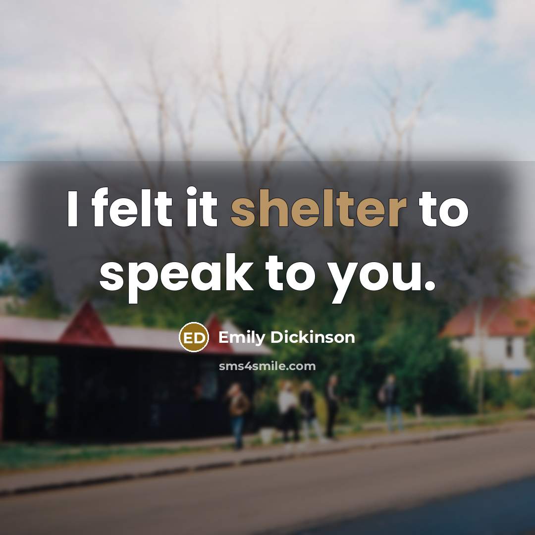 “I felt it shelter to speak to you.…” quote by Emily Dickinson