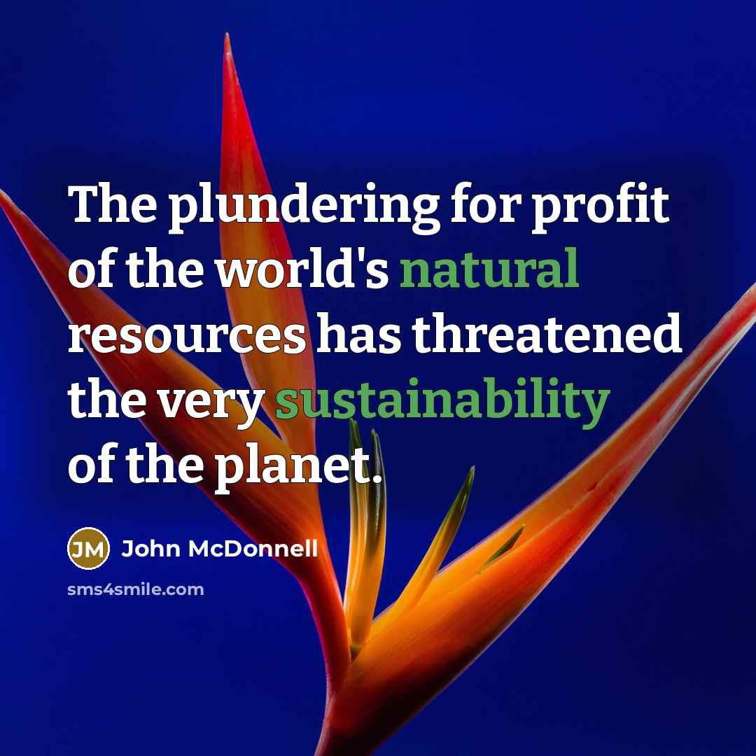 “The plundering for profit of the world's natural resources has threatened the very sustainability of the planet.” quote by John McDonnell