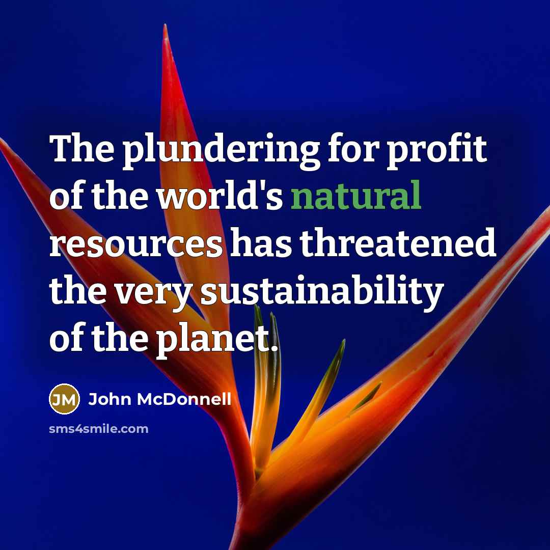 “The plundering for profit of the world's natural resources has…” quote by John McDonnell