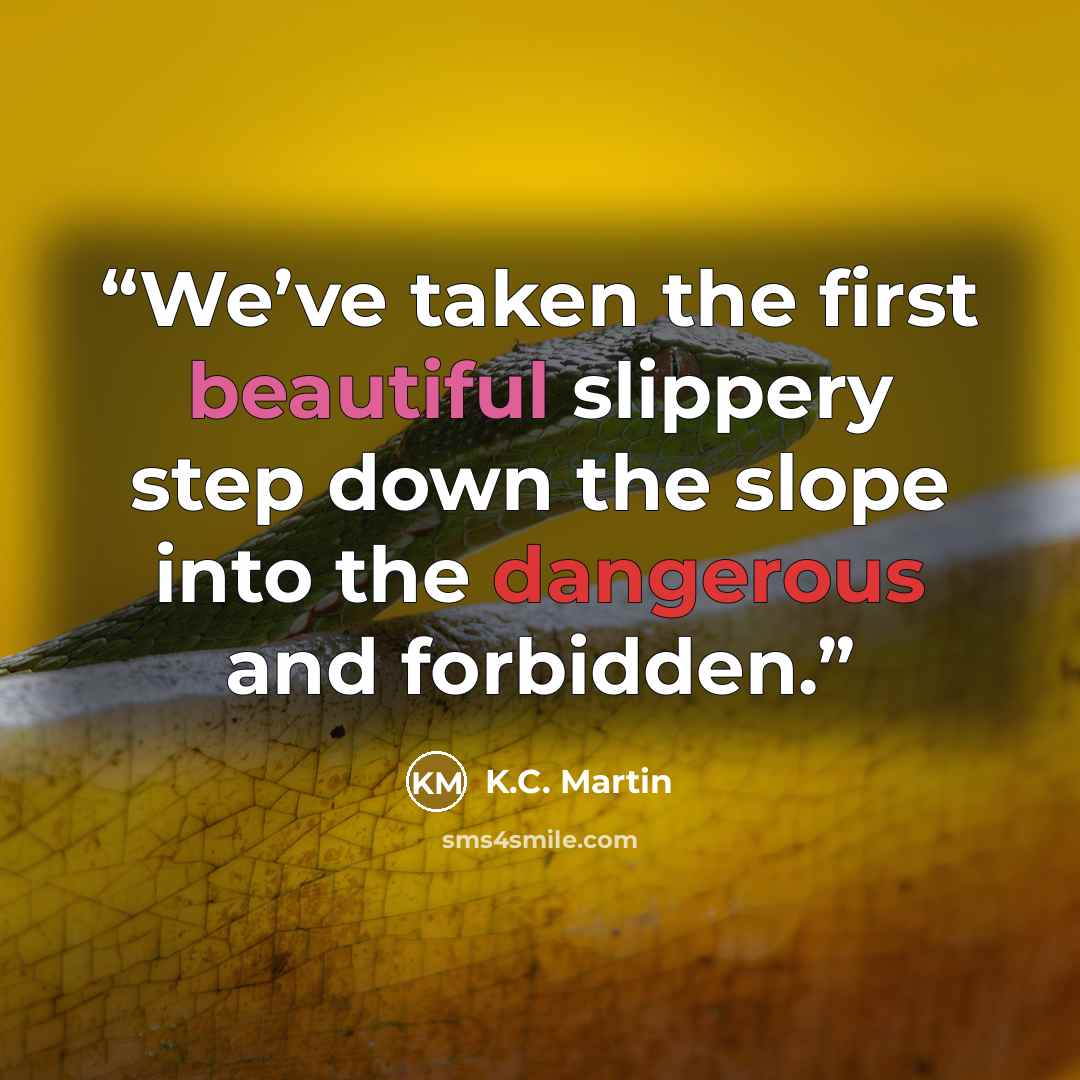 “We’ve taken the first beautiful slippery step down the slope into the dangerous and forbidden.” quote by K.C. Martin