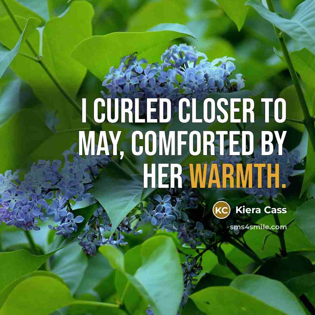 “I curled closer to May, comforted by her warmth.…” quote by Kiera Cass
