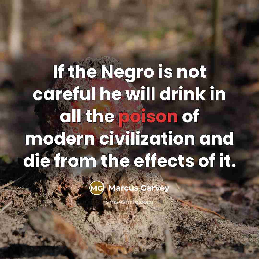 “If the Negro is not careful he will drink in…” quote by Marcus Garvey