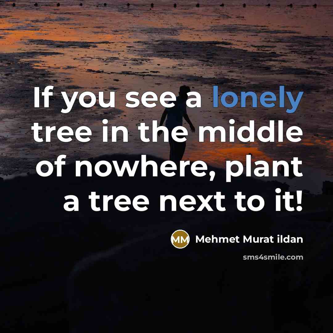 “If you see a lonely tree in the middle of…” quote by Mehmet Murat Ildan