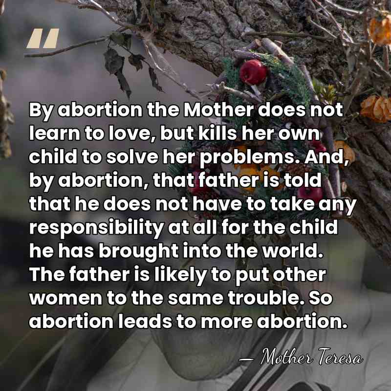 By abortion the Mother does not learn to love, but kills her&hellip; - Mother Teresa