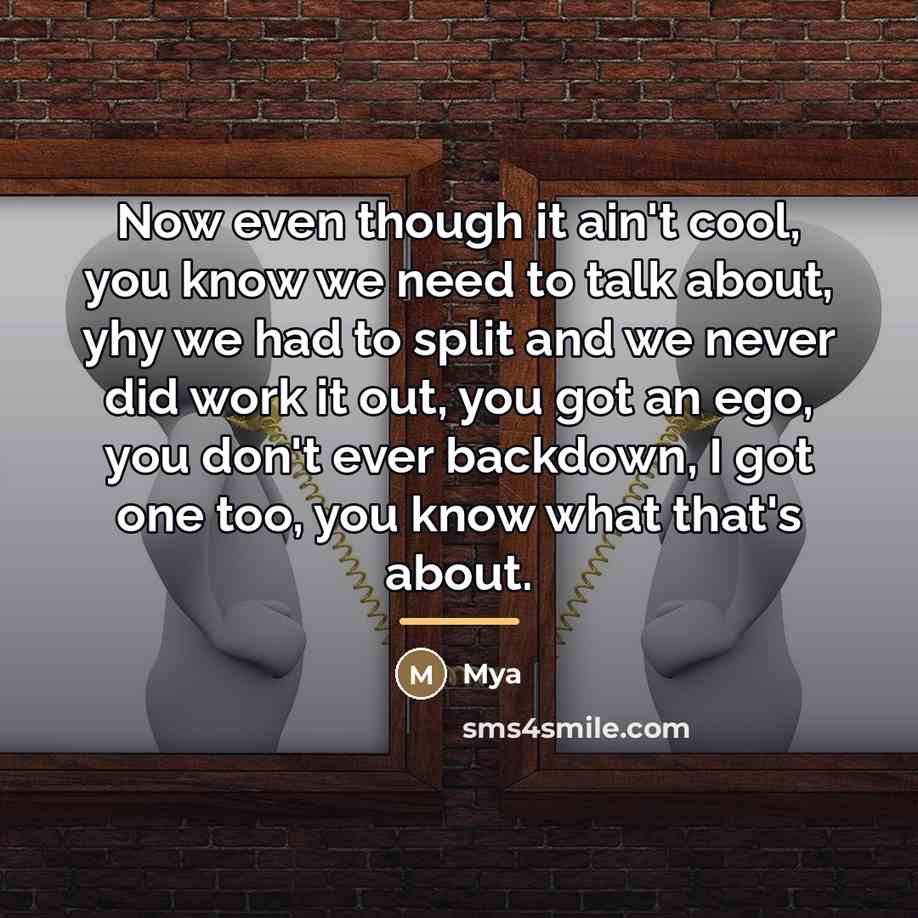 “Now even though it ain't cool, you know we need…” quote by Mya
