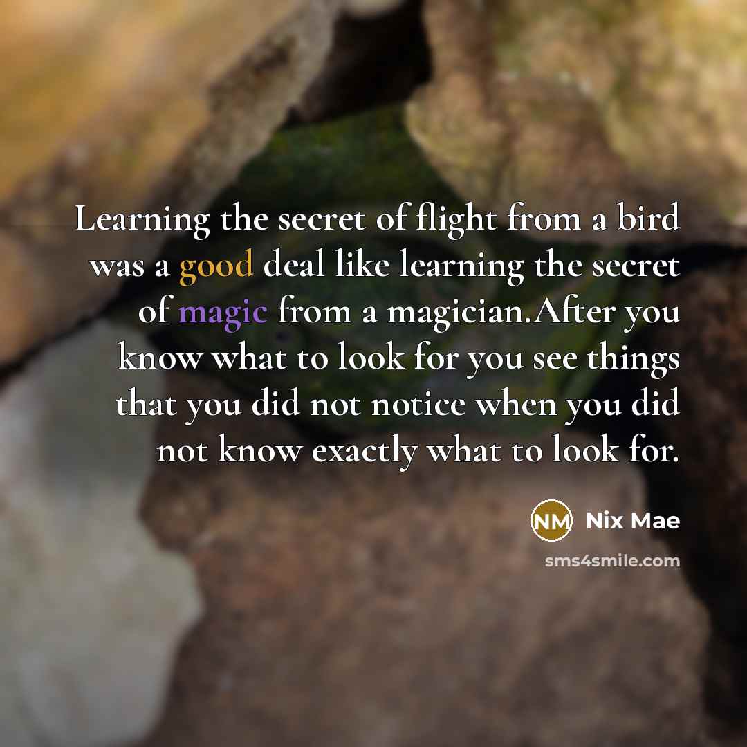 “Learning the secret of flight from a bird was a…” quote by Nix Mae