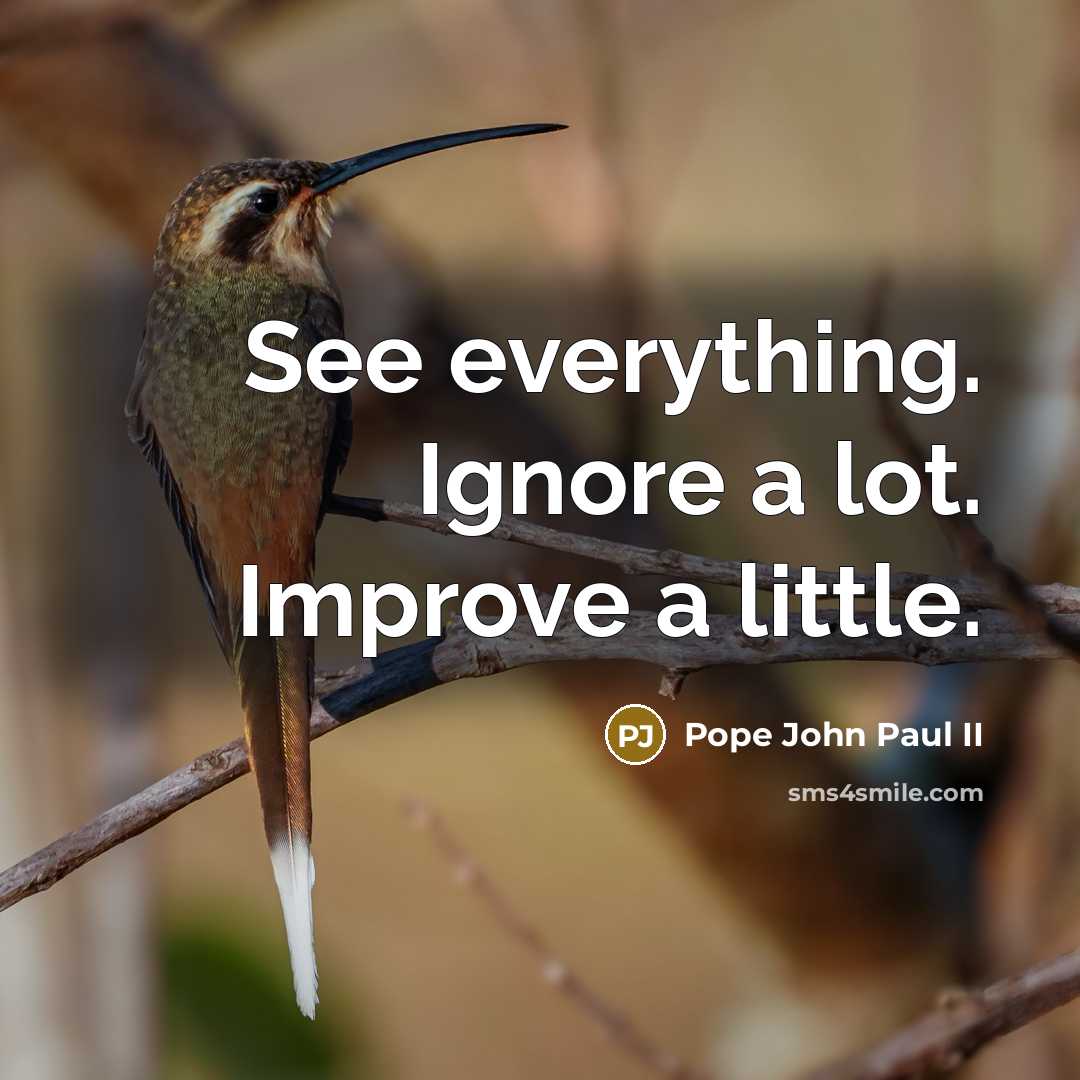 “See everything. Ignore a lot. Improve a little.…” quote by Pope John Paul II