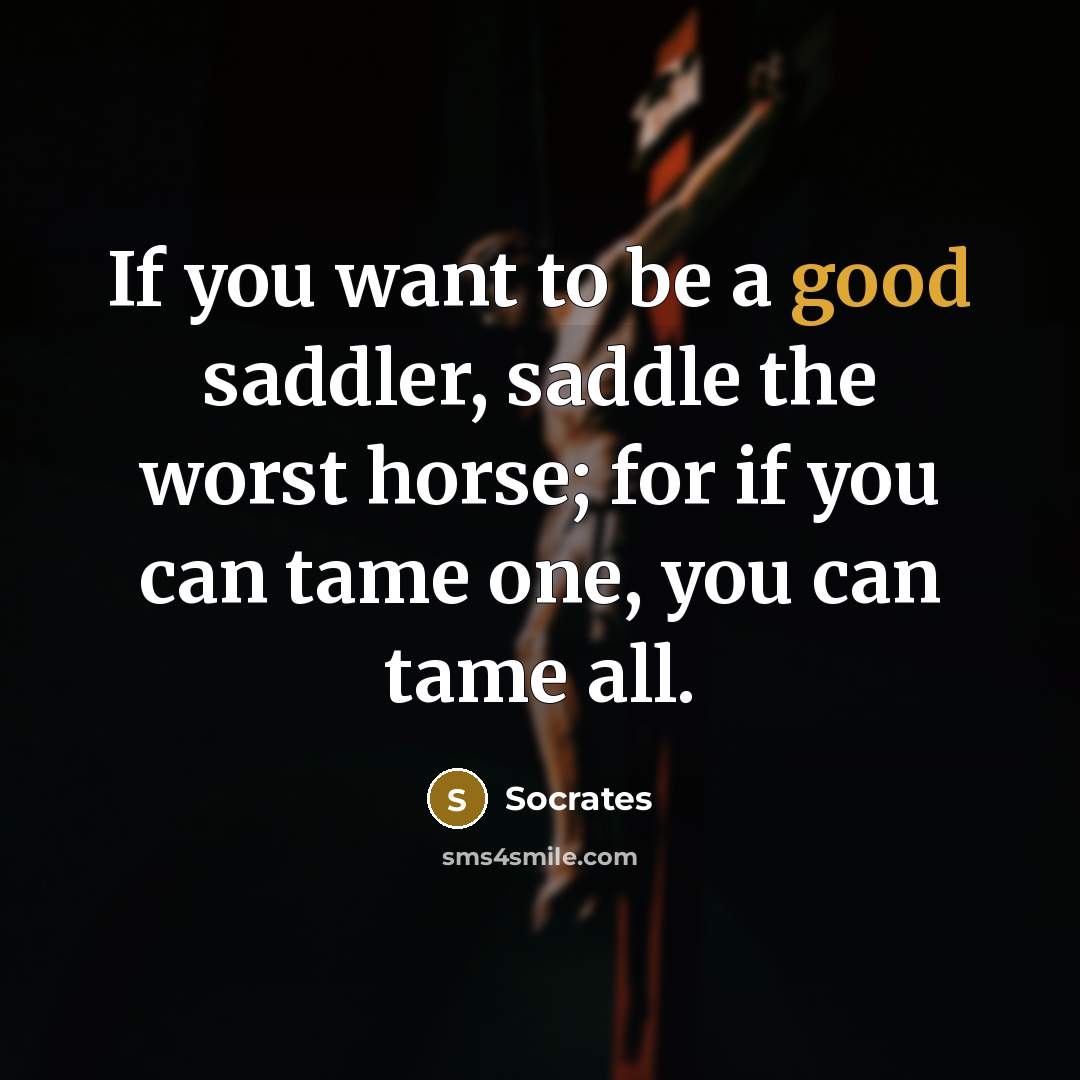 “If you want to be a good saddler, saddle the…” quote by Socrates