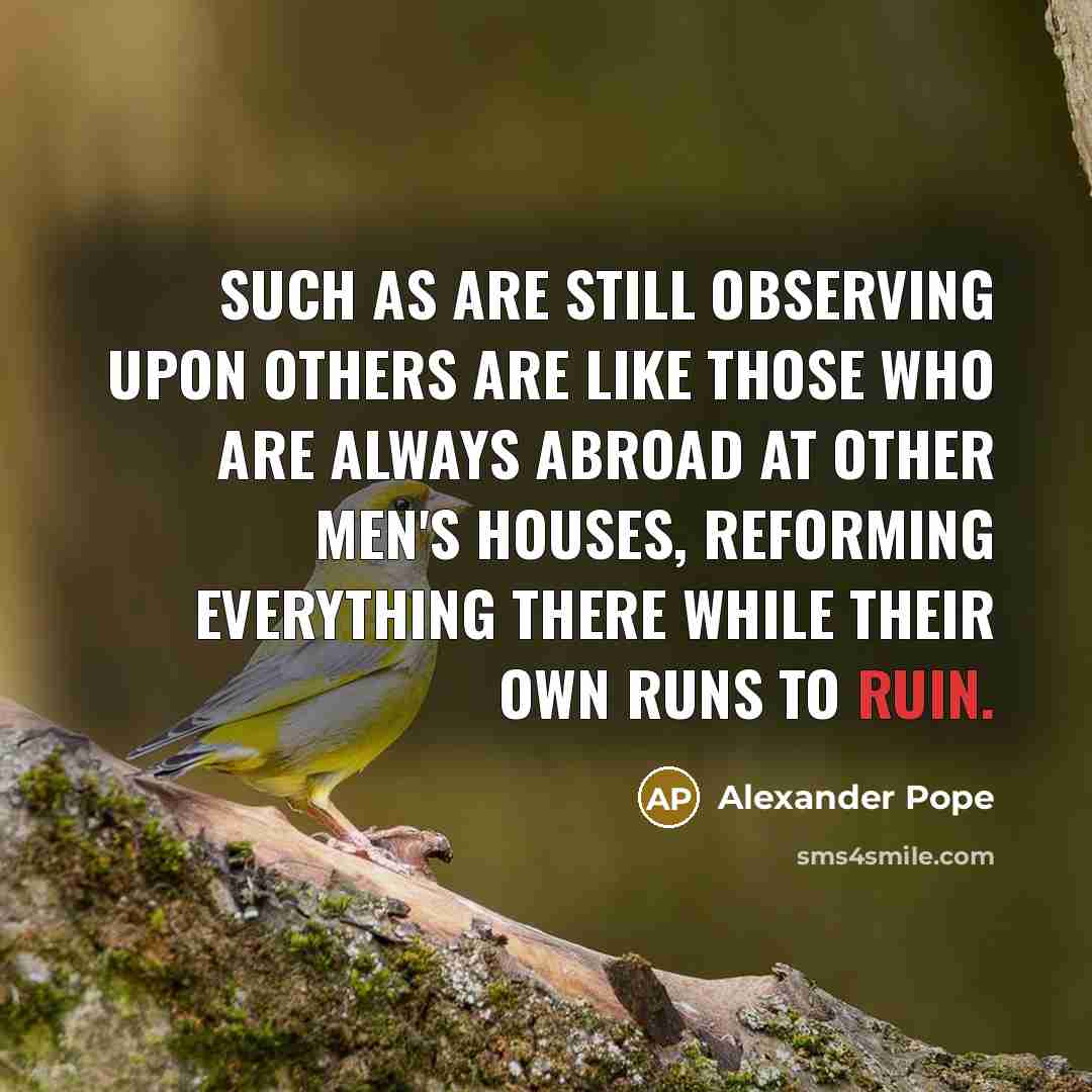 “Such as are still observing upon others are like those…” quote by Alexander Pope