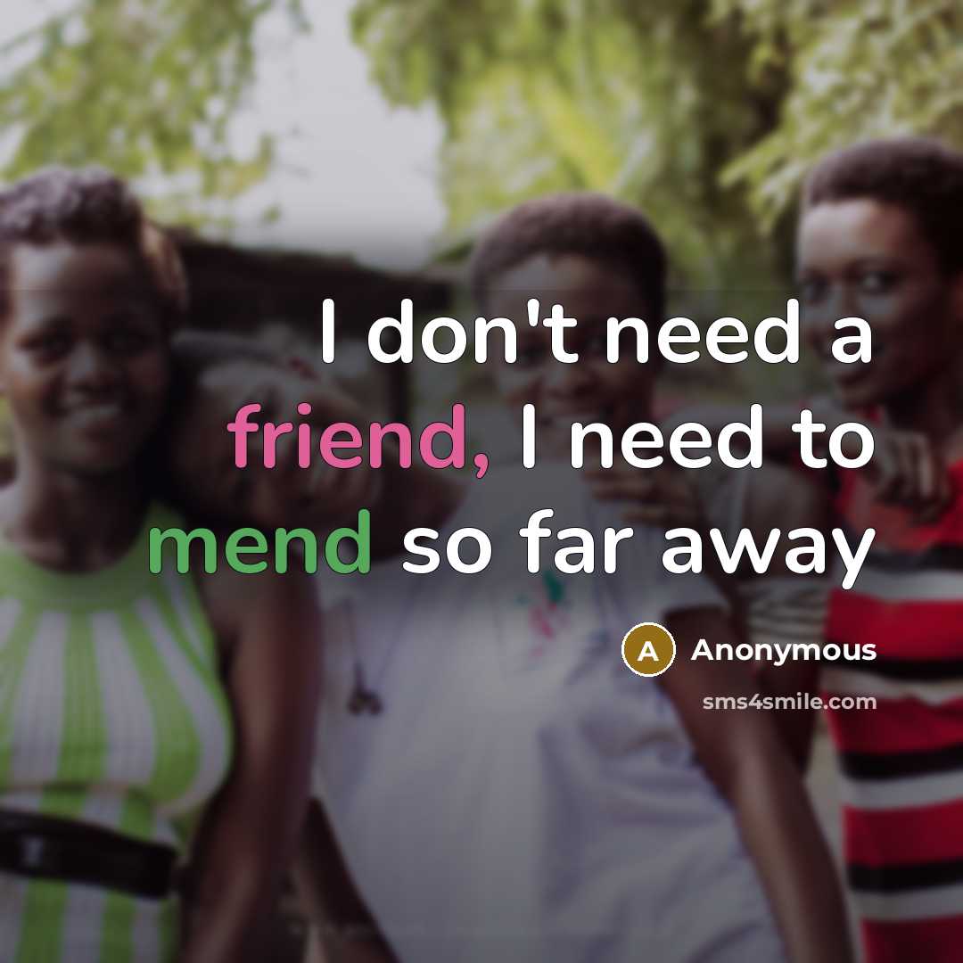 “I don't need a friend, I need to mend so far away” quote by Anonymous