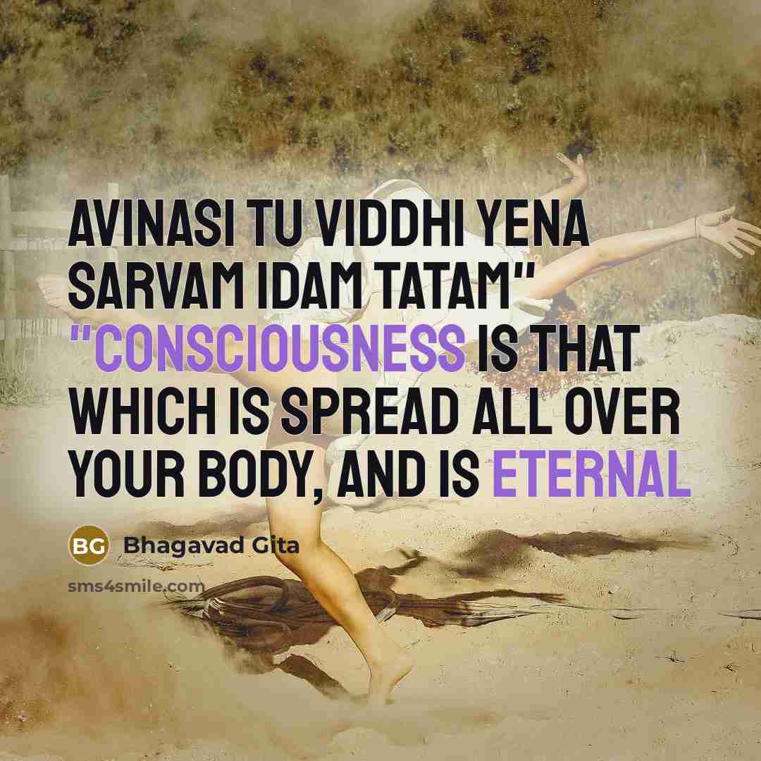 “"Avinasi tu viddhi yena sarvam idam tatam" "Consciousness is that…” quote by Bhagavad Gita